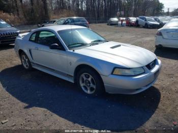  Salvage Ford Mustang