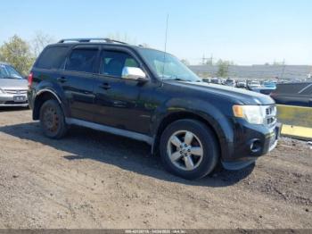  Salvage Ford Escape