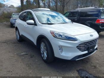  Salvage Ford Escape