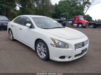  Salvage Nissan Maxima