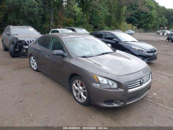  Salvage Nissan Maxima