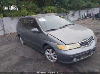  Salvage Honda Odyssey