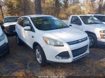  Salvage Ford Escape