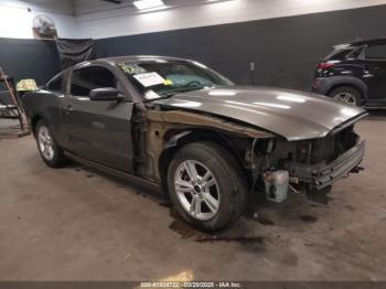  Salvage Ford Mustang