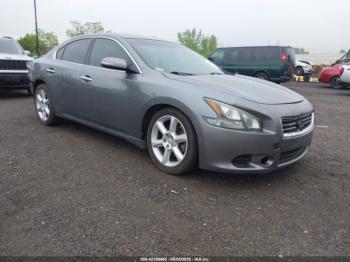  Salvage Nissan Maxima