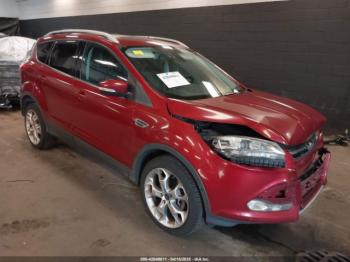  Salvage Ford Escape
