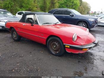  Salvage Alfa Romeo Spider