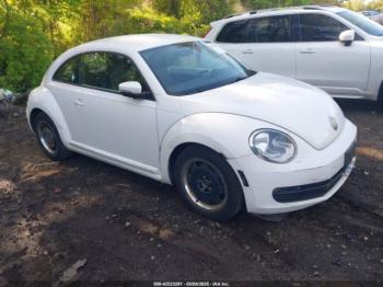  Salvage Volkswagen Beetle