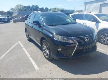  Salvage Lexus RX