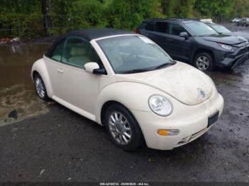  Salvage Volkswagen Beetle