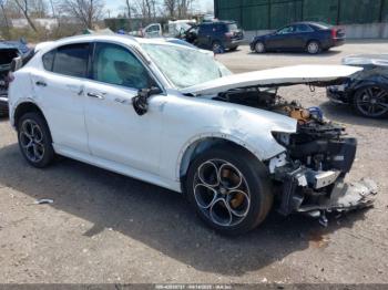 Salvage Alfa Romeo Stelvio
