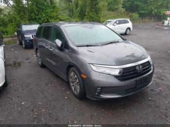  Salvage Honda Odyssey