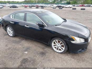  Salvage Nissan Maxima