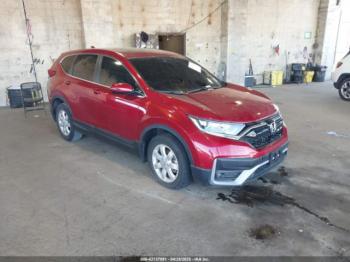  Salvage Honda CR-V