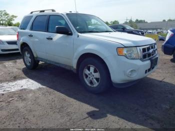  Salvage Ford Escape