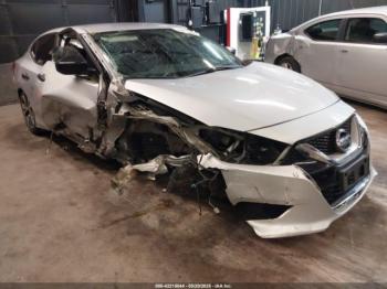  Salvage Nissan Maxima