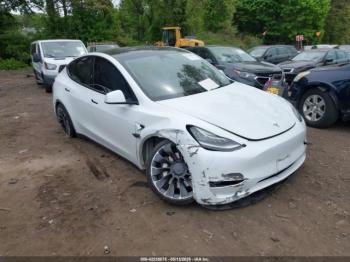  Salvage Tesla Model Y