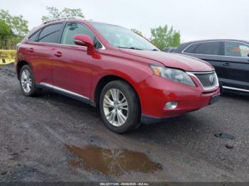  Salvage Lexus RX