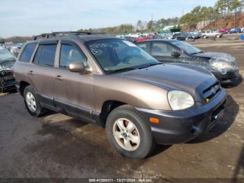  Salvage Hyundai SANTA FE