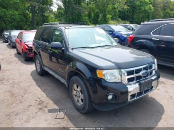  Salvage Ford Escape