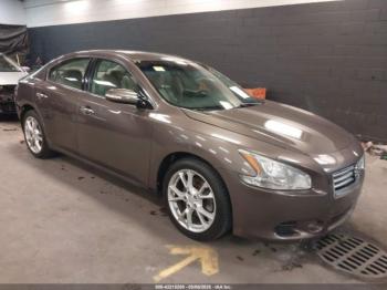  Salvage Nissan Maxima