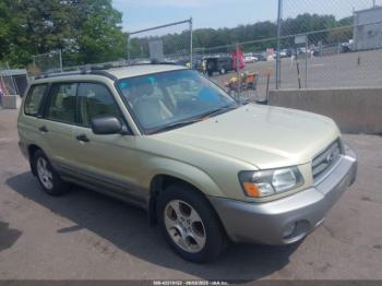  Salvage Subaru Forester