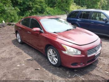  Salvage Nissan Maxima