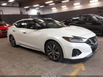  Salvage Nissan Maxima