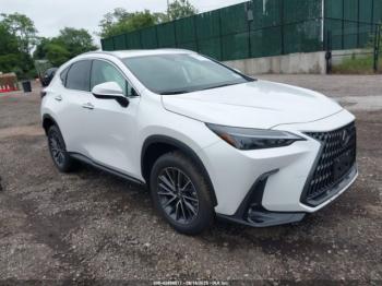  Salvage Lexus NX