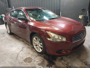  Salvage Nissan Maxima
