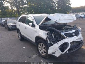 Salvage Kia Sorento