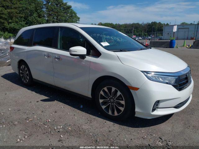  Salvage Honda Odyssey