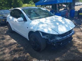  Salvage Tesla Model Y