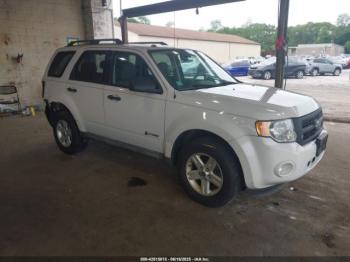  Salvage Ford Escape