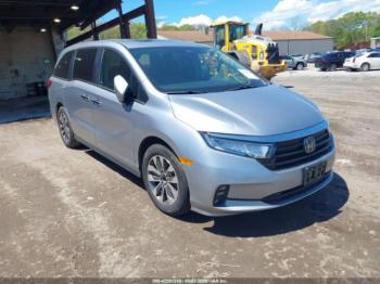  Salvage Honda Odyssey