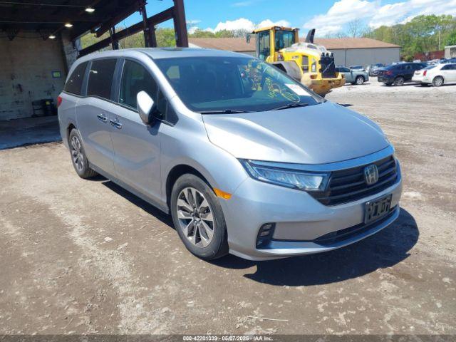 Salvage Honda Odyssey