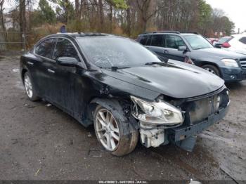  Salvage Nissan Maxima