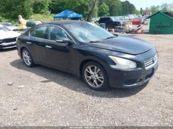  Salvage Nissan Maxima