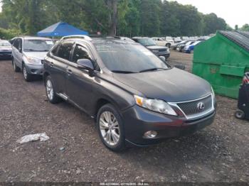  Salvage Lexus RX