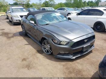  Salvage Ford Mustang