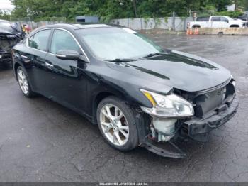  Salvage Nissan Maxima