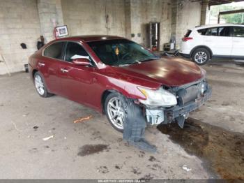  Salvage Nissan Maxima