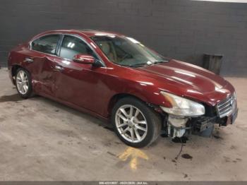  Salvage Nissan Maxima
