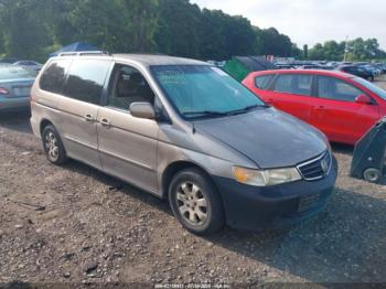  Salvage Honda Odyssey