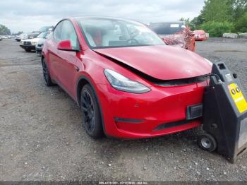  Salvage Tesla Model Y