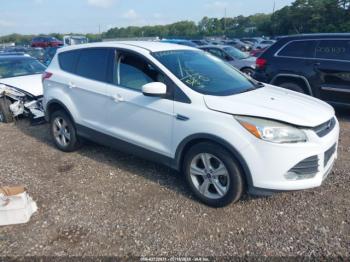 Salvage Ford Escape