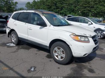  Salvage Hyundai SANTA FE
