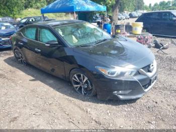  Salvage Nissan Maxima