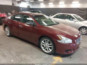  Salvage Nissan Maxima