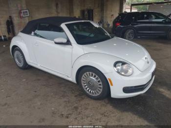  Salvage Volkswagen Beetle